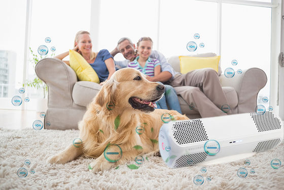 ABS Air Disinfector dengan Private Mold Membunuh Virus Flu H1N1 Bakteri Jamur OEM/ODM