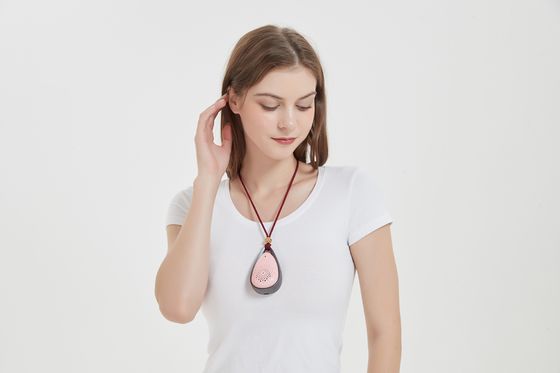 Menghilangkan Bau Asap Tembakau Pembersih Udara Pembersih Udara Luar Untuk Asap CE