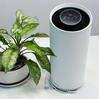 Pembersih Udara Plasma Dingin HEPA dengan Filter Karbon Aktif 36W Daya Maksimum 220V Tegangan