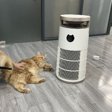 70dB Plasma Air Purifier for Pets with 480 m³/h CADR