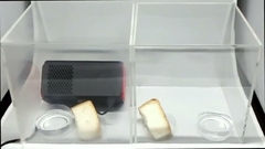 Kebisingan 27dB Pembersih Udara Segar Mobil untuk udara segar dan bersih